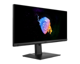 MSI Vodafone Optix MAG301RFDE | MSI eSport Gaming Monitor