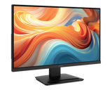 PRO MP241 E14V | MSI Pro Monitor