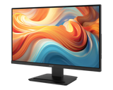 PRO MP241 E14V | MSI Pro Monitor