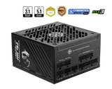 MSI Desktop PC Netzteil MPG A1250GS PCIE5