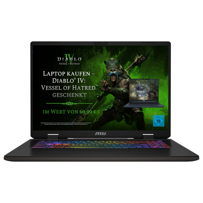 MSI Gaming Laptop Sword 17 HX B14VGKG-043DE [mit »Diablo® IV – Vessel of Hatred« Bundle]