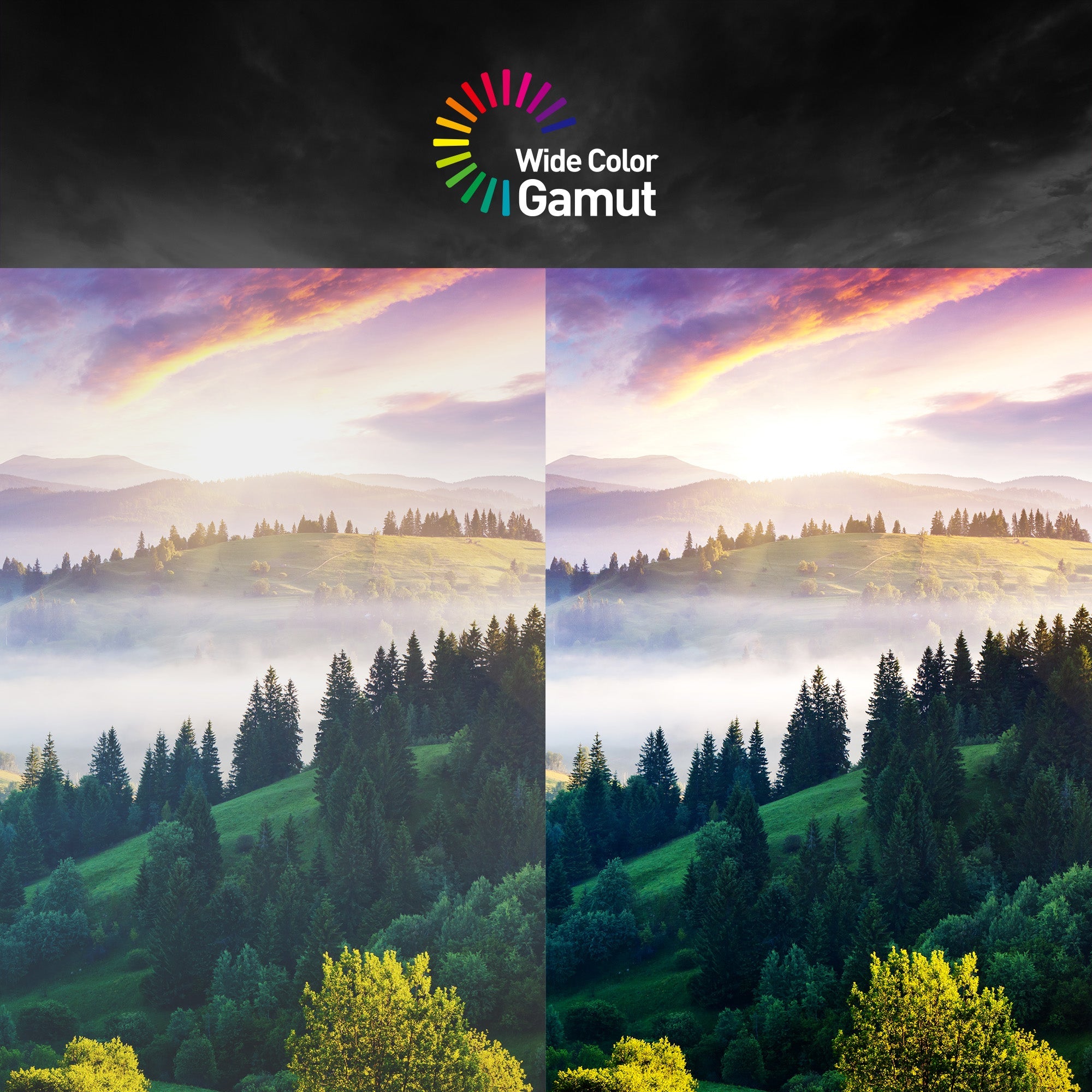 MSI CB G32CQ4DE E2 | MSI eSport Gaming Monitor - MSI e-Shop | Offiziell von MSI Deutschland