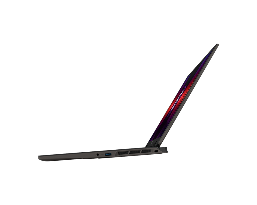 MSI Gaming Laptop Sword 17 HX B14VGKG-043DE [mit Review & Receive-Aktion]